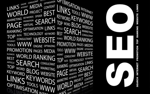 企業站與門戶網站做seo優化所帶來的價值哪個更高？