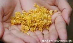 桂花怎么保存不變色還有香氣，有密封/風干/冰凍等6種方法保存