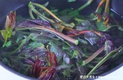 香椿芽怎么保存才新鮮，3種方法從春天放到冬天都沒問題