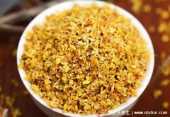 桂花怎么處理后可以食用，做成干桂花和桂花蜂蜜醬能直接吃
