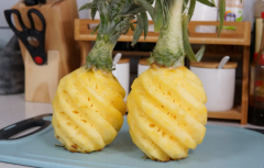 菠蘿吃起來是甜的還是酸的