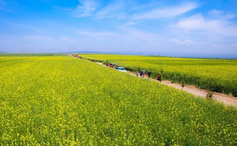 今年夏天2022年高溫工夫長嗎3