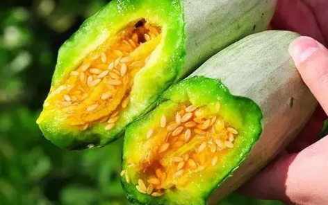 羊角蜜怎樣吃2