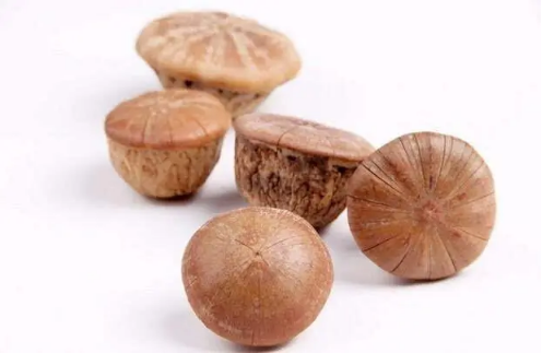 ??壯陽(yáng)果是吃殼還是果肉4